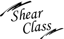 shear class salon